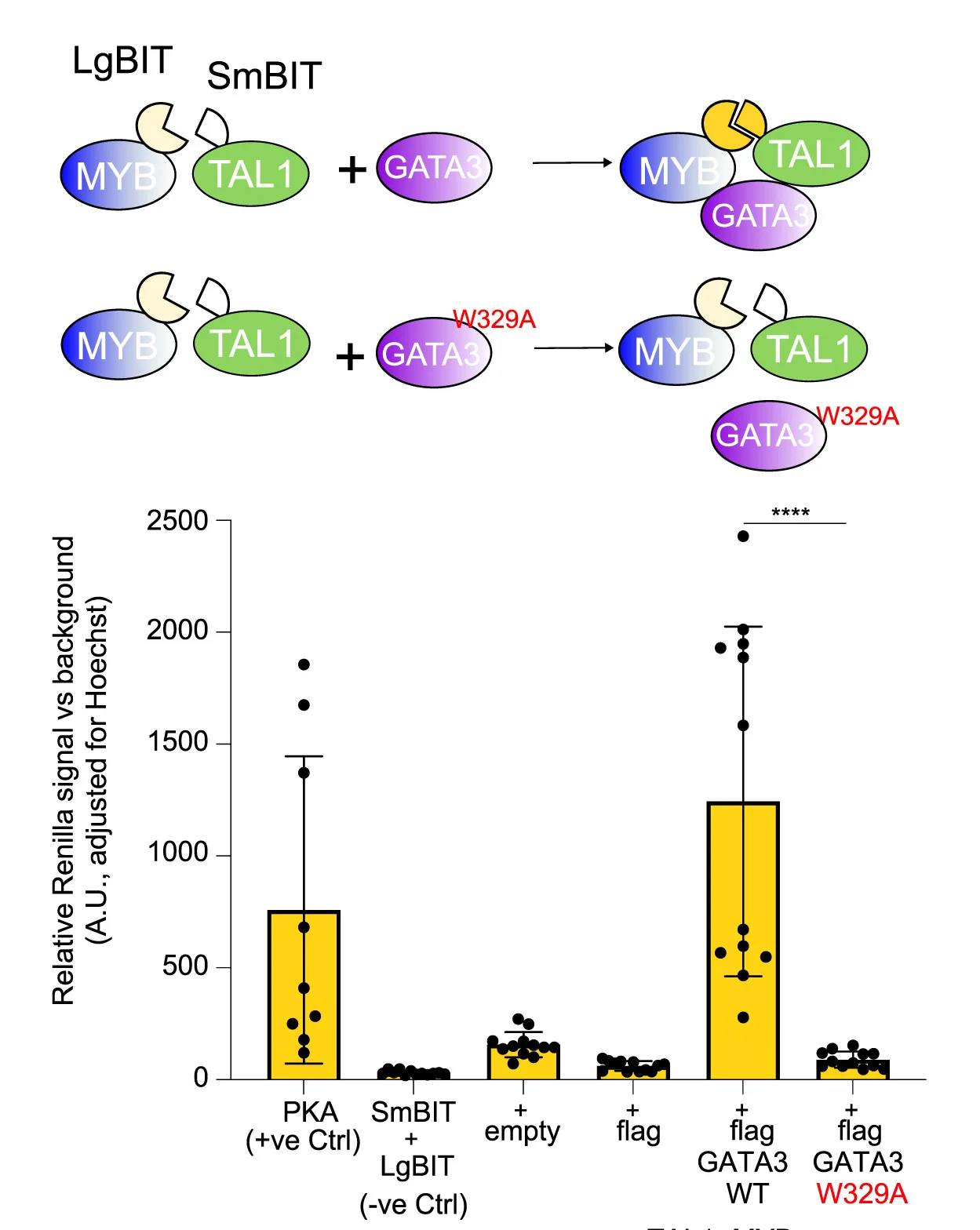 Open access visualization of Bar Plot, Error Bars, Scatter Plot, Illustration, RenillaNanoLuc PCA