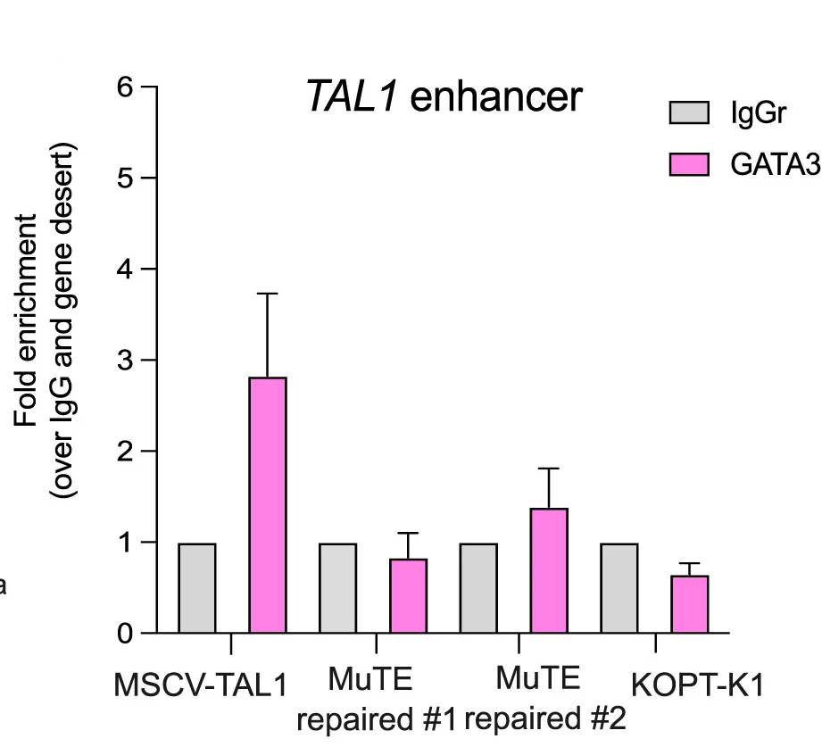 Open access visualization of Bar Plot, Error Bars, Clustered, ChIP-qPCR, GATA3