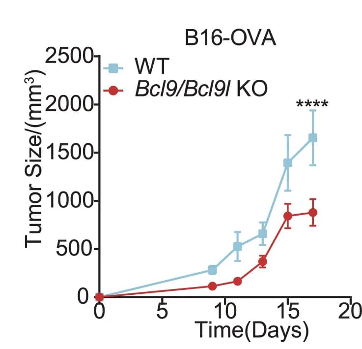 Open access visualization of Line Plot, Error Bars, Tumor Growth Curve, Bcl9/Bcl9l-KO Mice, WT Mice