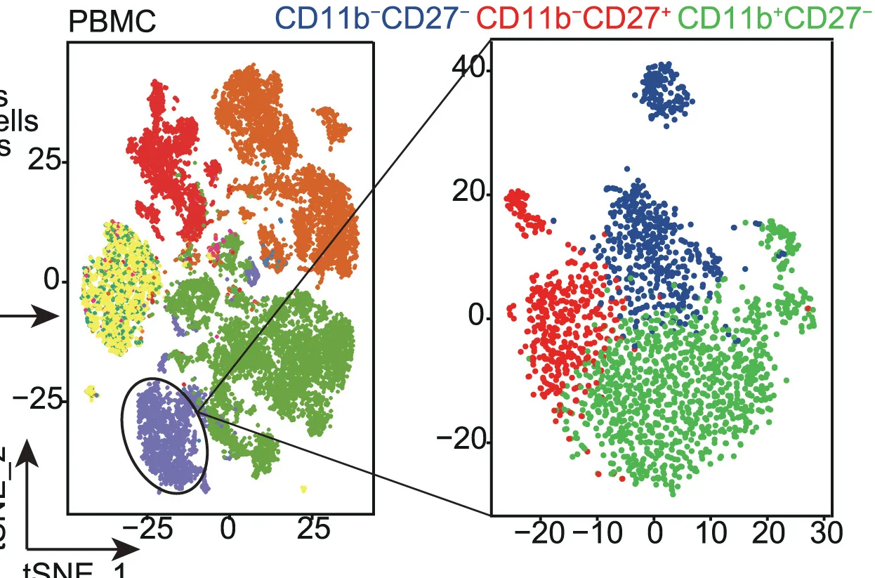 Open access visualization of Scatter Plot, UMAP, PCA, tSNE, PBMCs