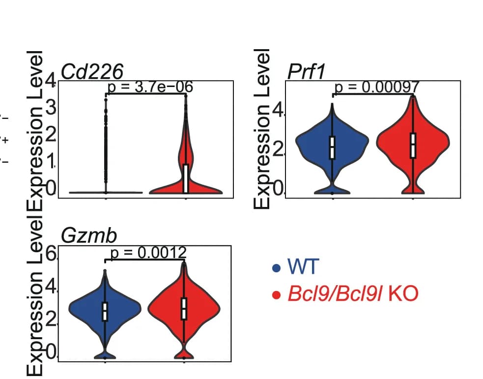 Open access visualization of Violin Plot, Box Plot, Scatter Plot, Violin Plots, Gene Expression