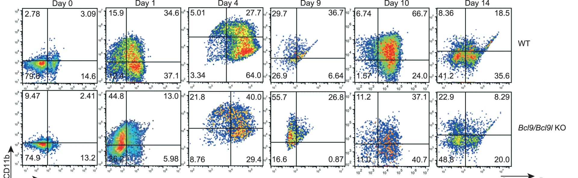 Open access visualization of Scatter Plot, Flow Cytometry, Gating Strategy, Splenic NK Cells, In Vitro