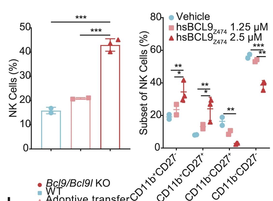 Open access visualization of Bar Plot, Error Bars, Scatter Plot, Splenic NK Cells, NK Subsets