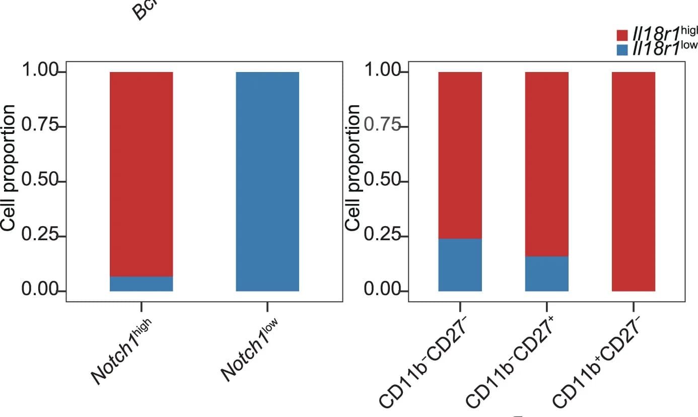 Open access visualization of Stacked Bar Plot, Bar Plot, Il18r1 High NK Cells, Notch High/Low Groups, NK Subsets