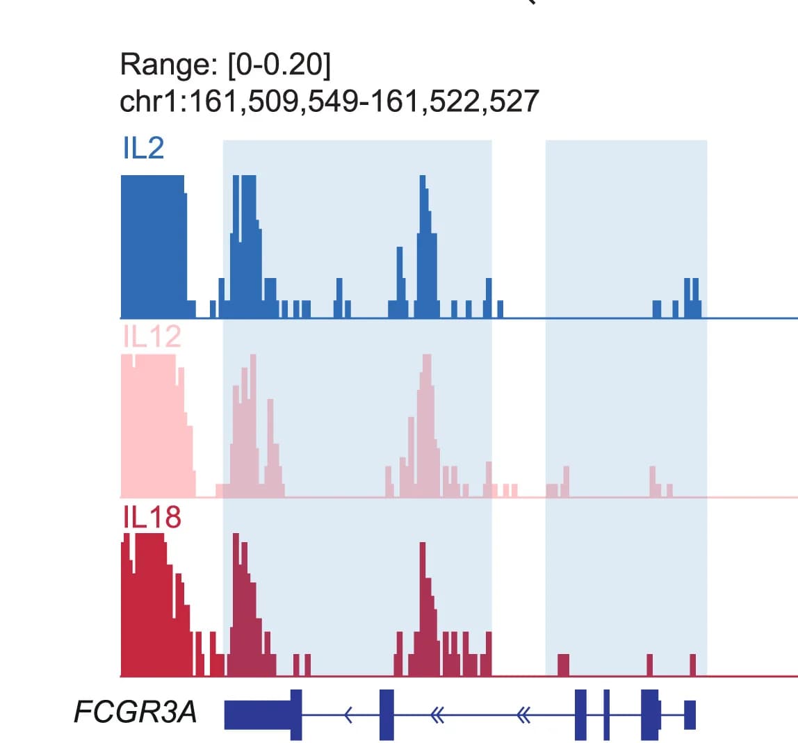 Open access visualization of Bar Plot, Histogram, ATAC-seq, FCGR3A, Cytokine Treatment