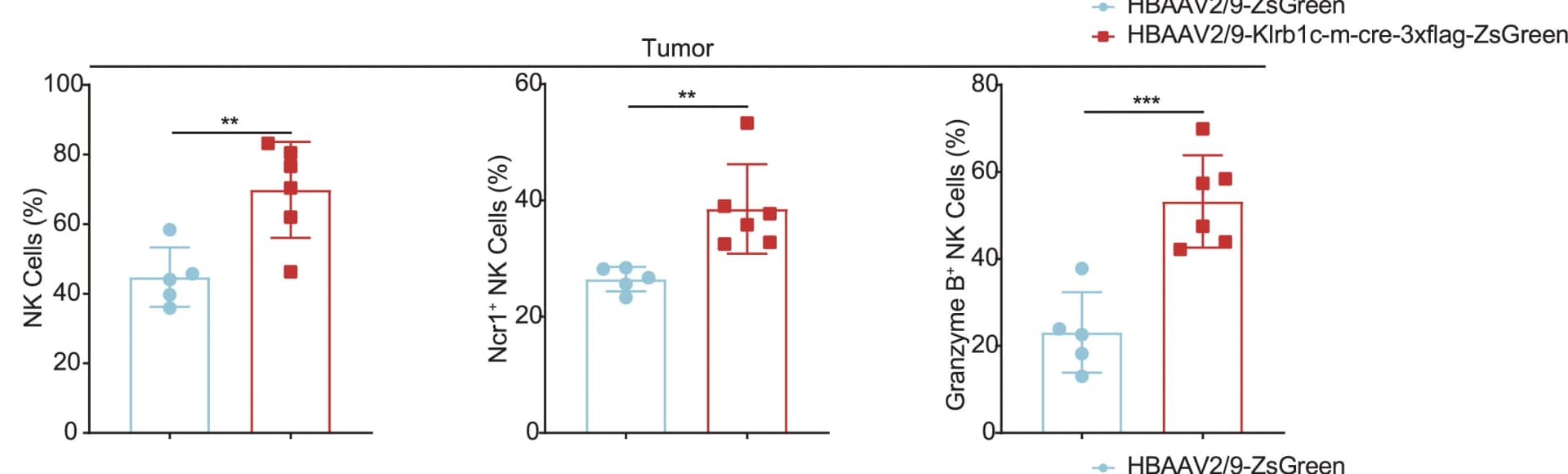 Open access visualization of Bar Plot, Error Bars, Scatter Plot, NK Cells, Ncr1-Positive NK Cells