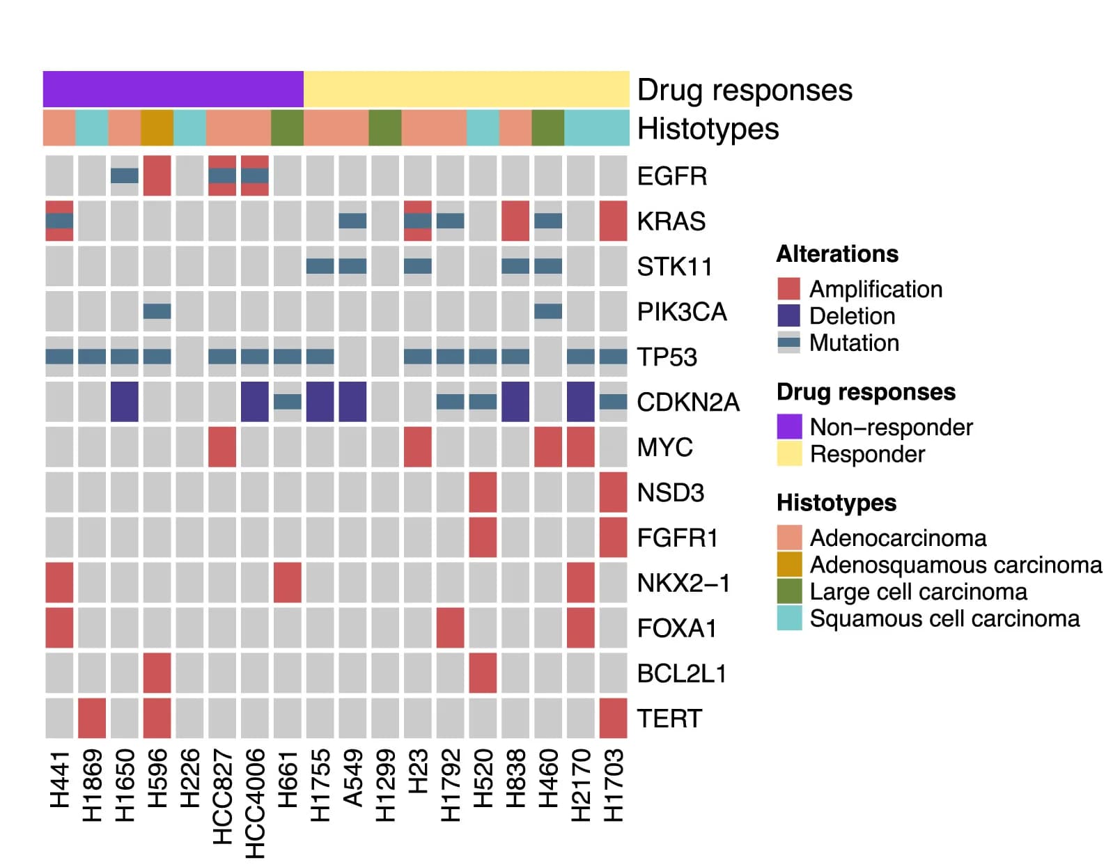 Open access visualization of Heatmap, Oncoprint, Drug Responses, Histotypes, Genomic Alterations
