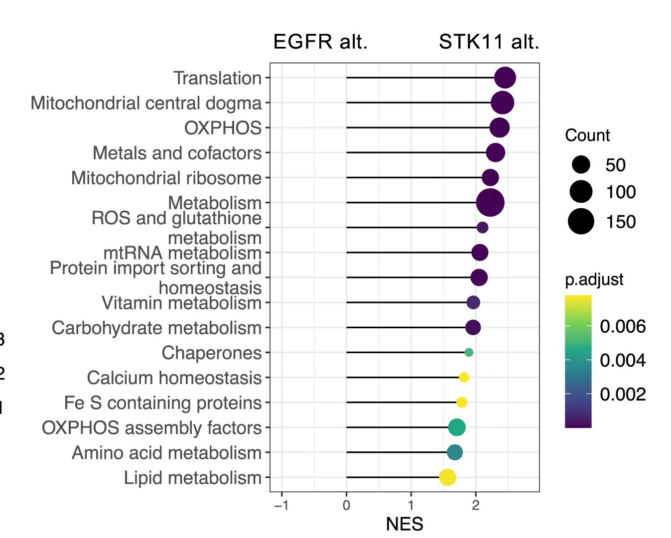 Open access visualization of Scatter Plot, Bubble Plot, Gene Set Enrichment Analysis, MitoCarta 3.0 Pathways, Differential Expression Analysis