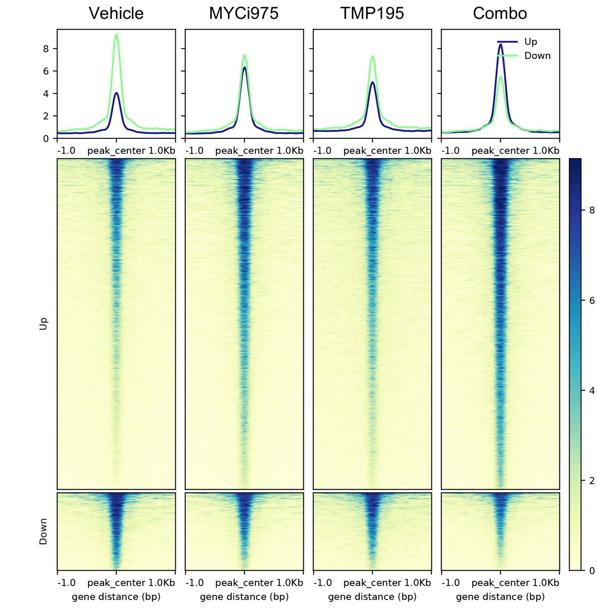 Open access visualization of Heatmap, Line Plot, ATAC-seq, Heatmaps, DARs