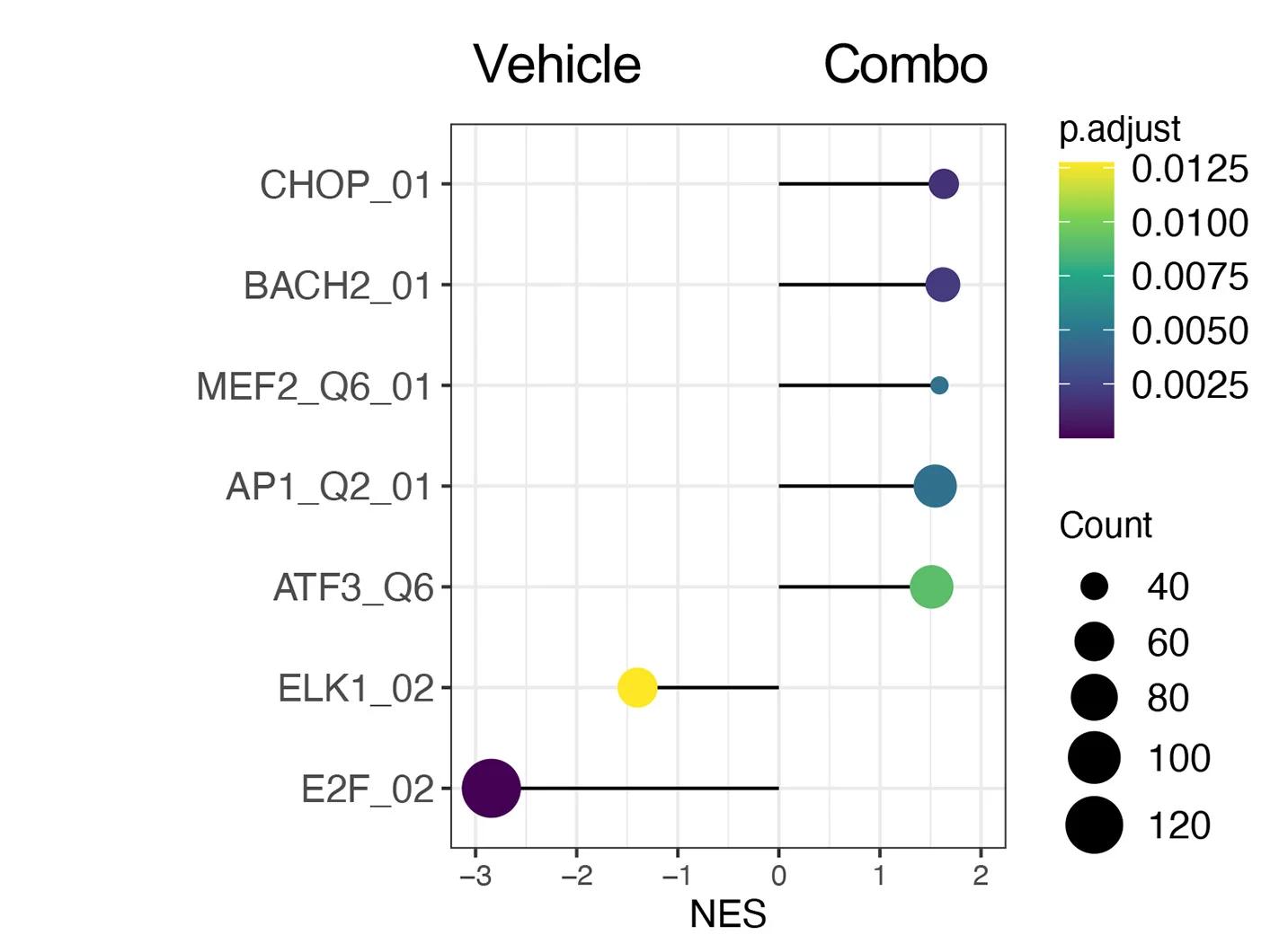 Open access visualization of Scatter Plot, Bubble Plot, GSEA, TFT Pathways, Differential Expression