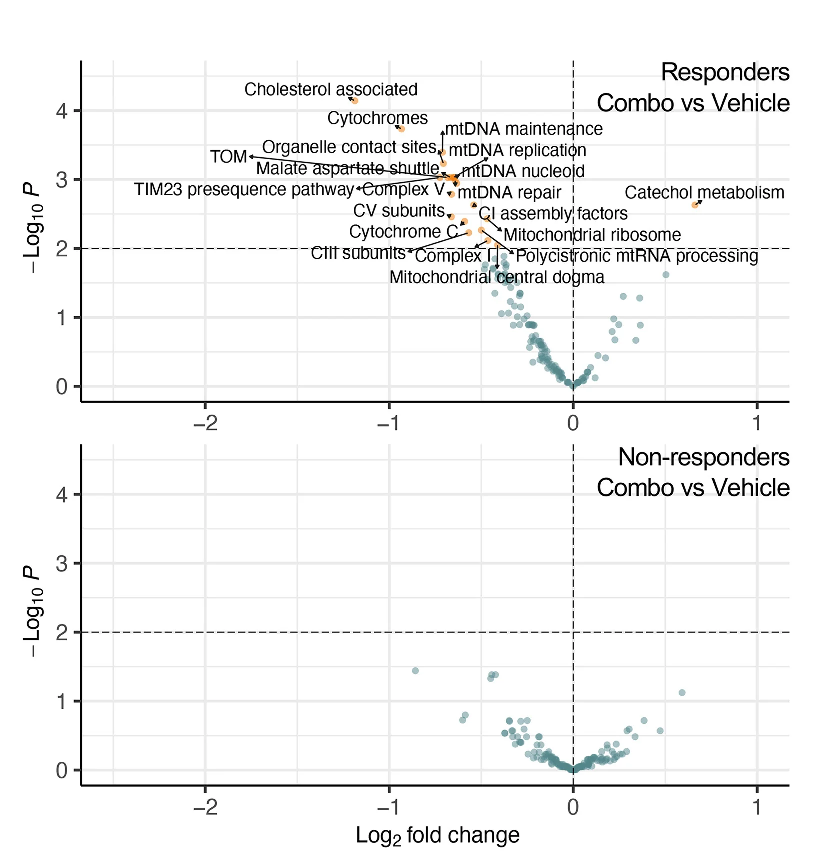 Open access visualization of Volcano Plot, Scatter Plot, GSVA, MitoCarta 3.0, Cell Lines
