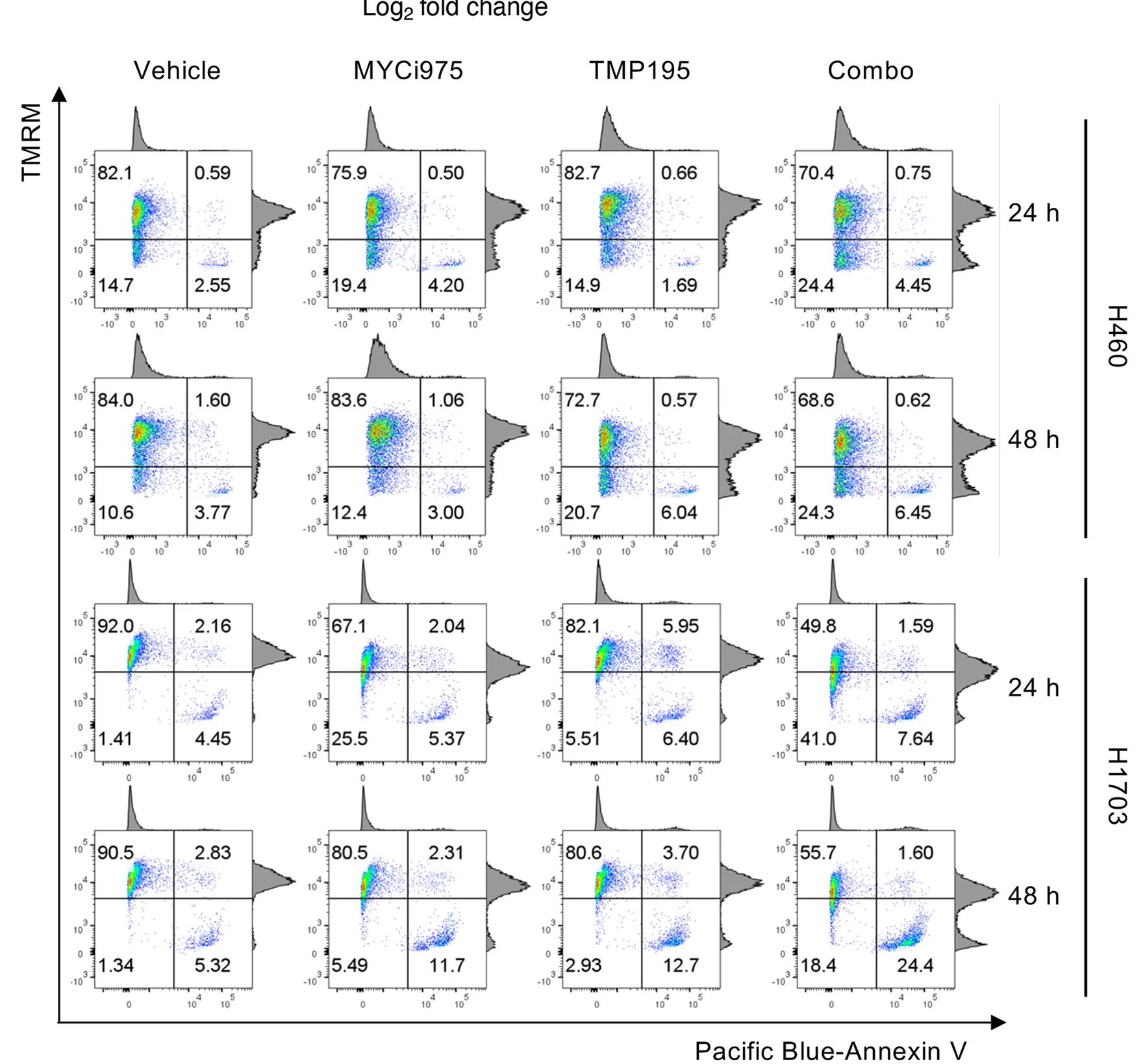 Open access visualization of Scatter Plot, Density Plot, Flow Cytometry, Tetramethylrhodamine, Mitochondrial Membrane Potential