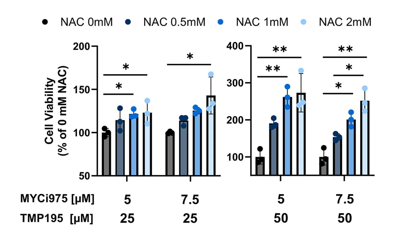 Open access visualization of Bar Plot, Error Bars, Clustered, Cell Viability, NAC