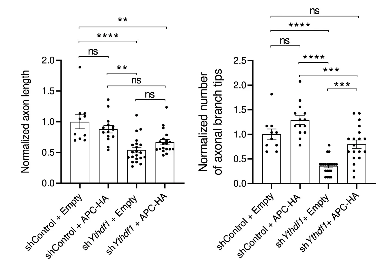 Open access visualization of Bar Plot, Error Bars, Scatter Plot, Neurons, Axon Length