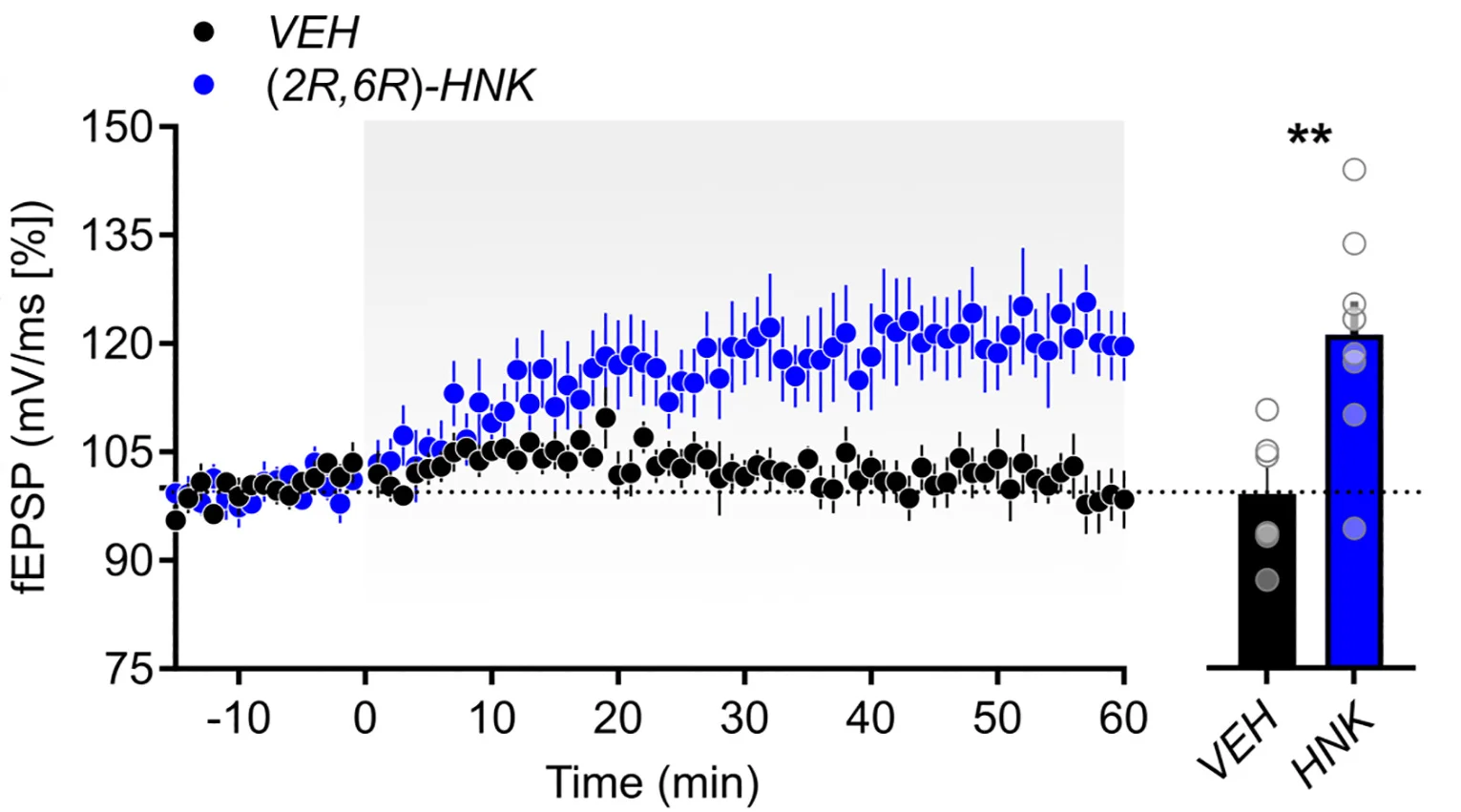Open access visualization of Line Plot, Error Bars, Bar Plot, Time Course, Electrically-Evoked Field Excitatory Postsynaptic Potentials