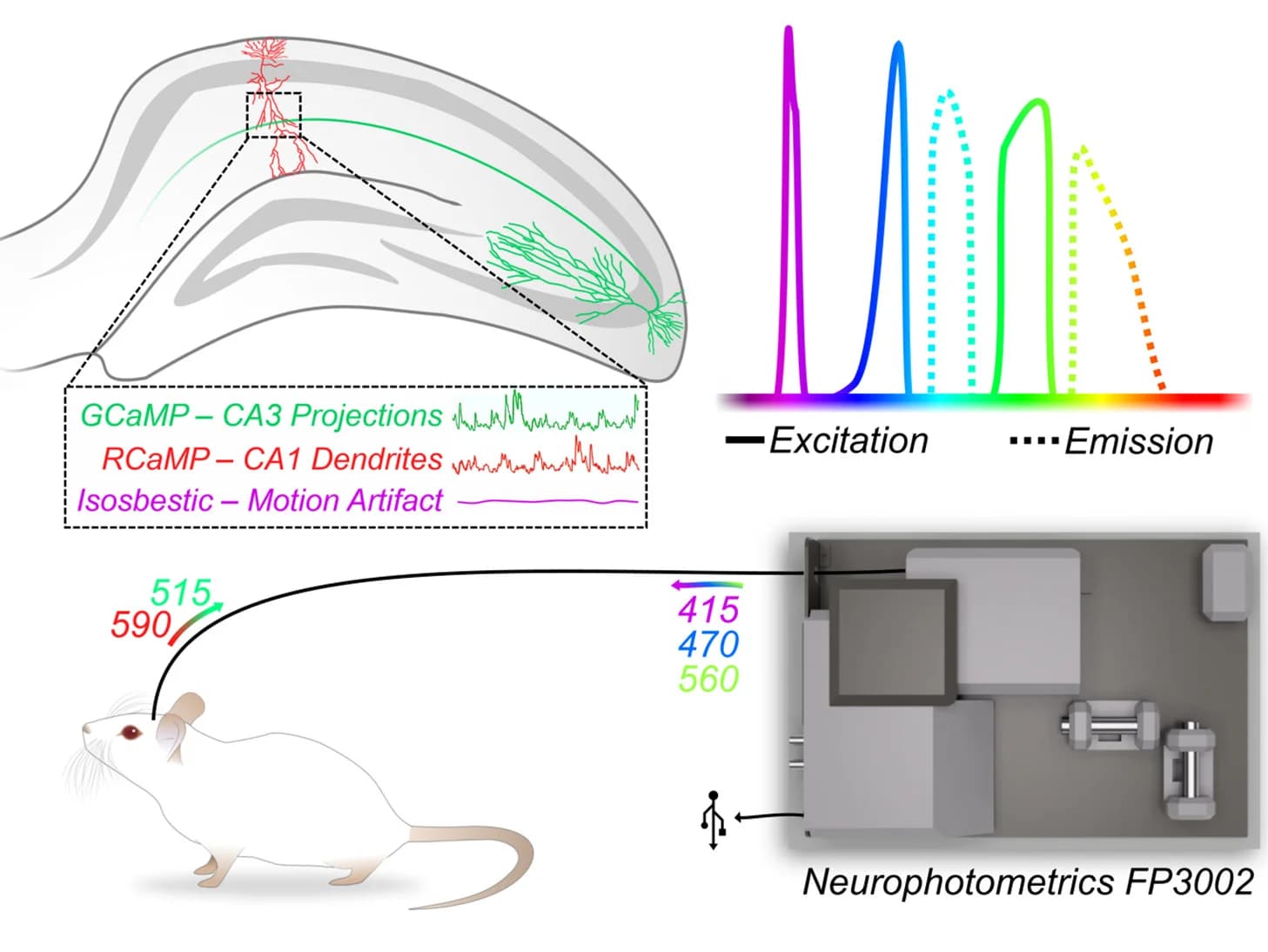 Open access visualization of Illustration, Line Plot, Dual-Color Fiber Photometry, Excitation Spectra, Emission Spectra