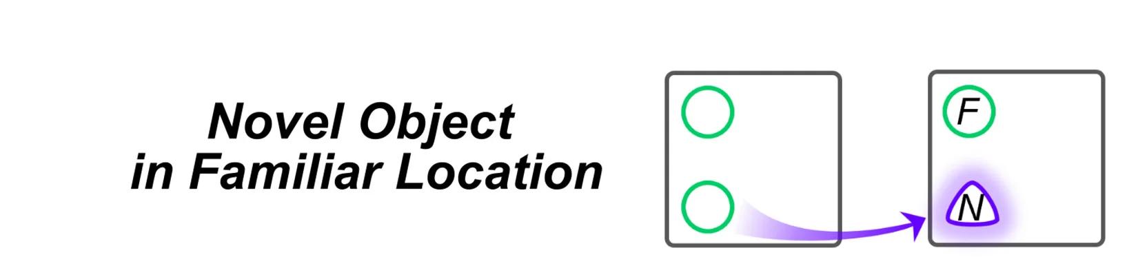 Open access visualization of Workflow, Illustration, Object In-Context Testing, Familiar Object, Novel Object