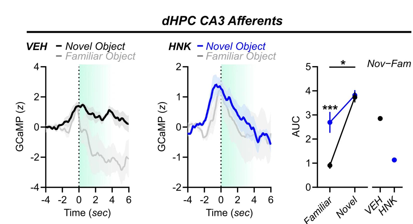Open access visualization of Line Plot, Error Bars, Scatter Plot, Calcium Signal, CA3 Projections