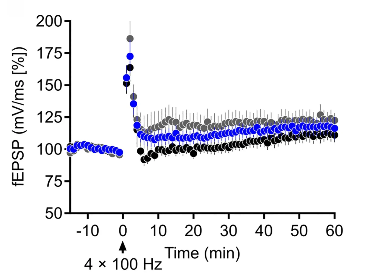 Open access visualization of Line Plot, Error Bars, Time Course, Electrically-Evoked Responses, LTP