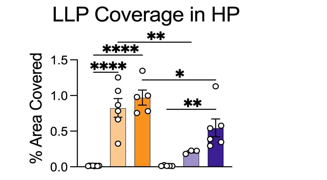 Open access visualization of Bar Plot, Error Bars, Scatter Plot, Quantification, Lipofuscin Like Particles