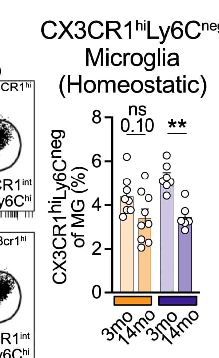 Open access visualization of Bar Plot, Scatter Plot, CX3CR1, Ly6C, Microglia