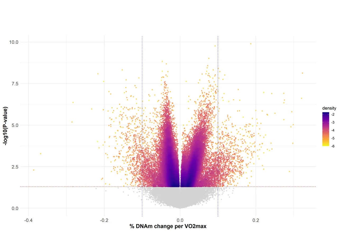 Open access visualization of Volcano Plot, Scatter Plot, Density Plot, Effect Size, DNA Methylation