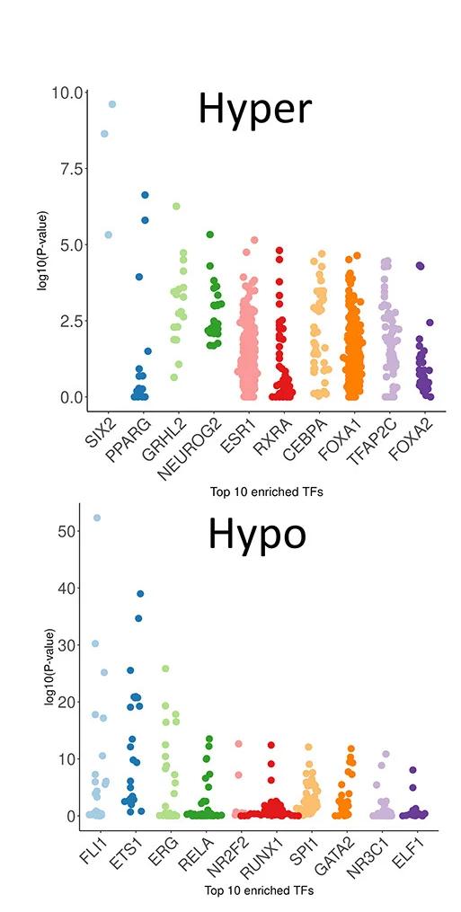 Open access visualization of Scatter Plot, Transcription Factors, Hyper-DMRs, Hypo-DMRs, UniBind Tool