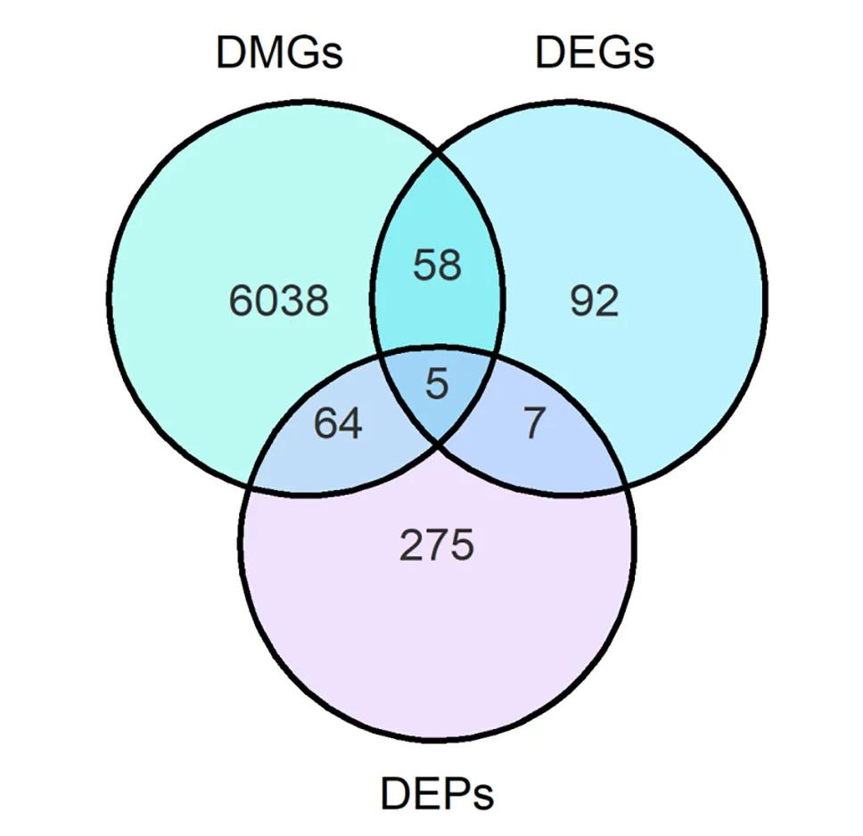 Open access visualization of Venn Diagram, DMGs Genes, DEGs, DEPs, Omics