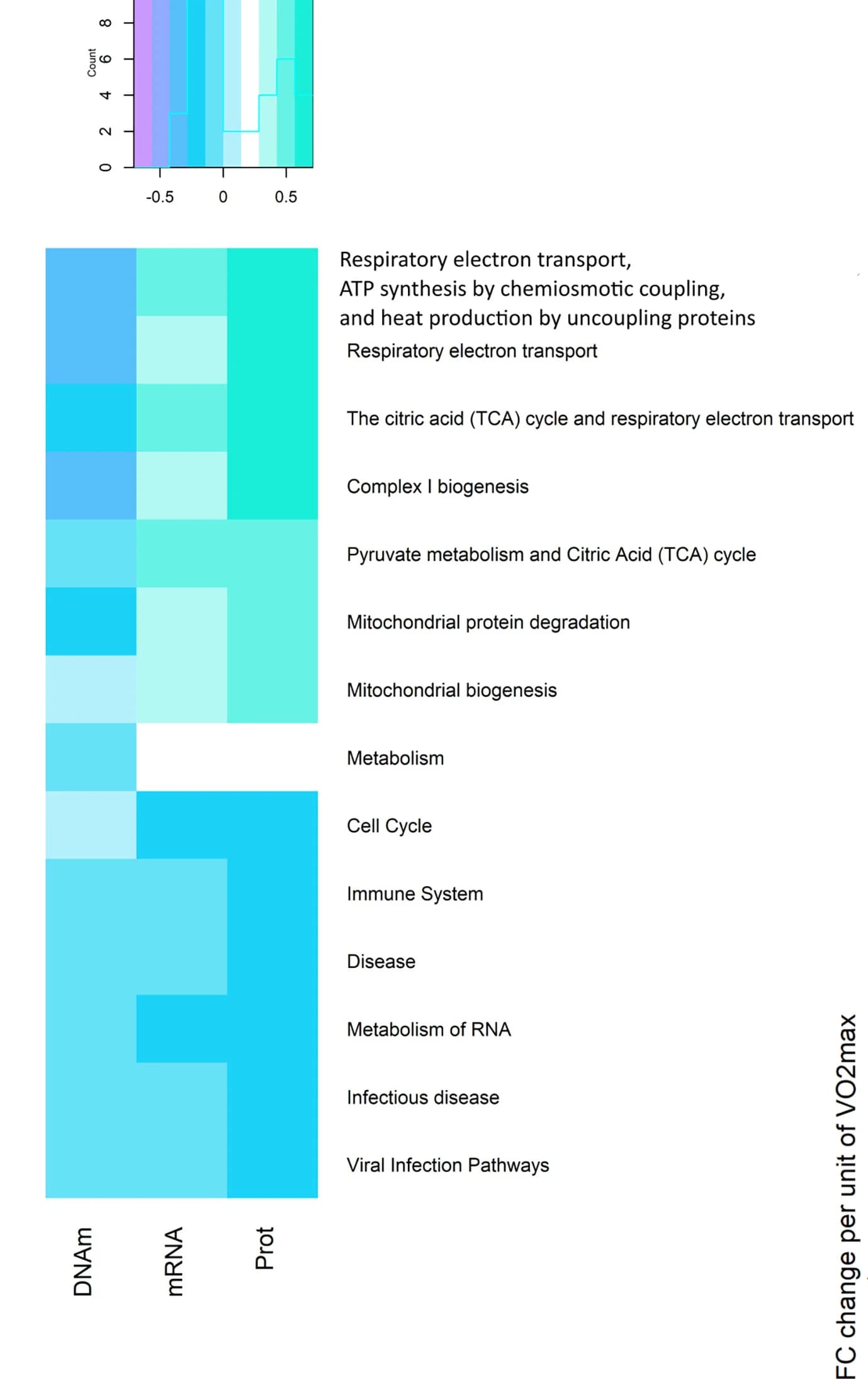 Open access visualization of Heatmap, Histogram, DNAm, Proteins, VO2max