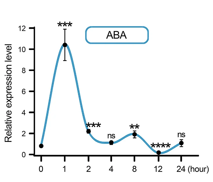 Open access visualization of Line Plot, Error Bars, Transcript Levels, HIPP26L, ABA Treatment