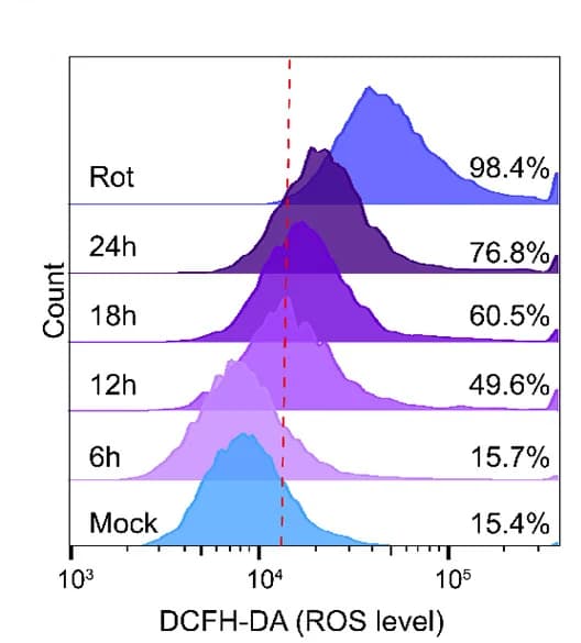 Open access visualization of Density Plot, Line Plot, DCFDA Staining, Intracellular ROS Levels, A549 Cells