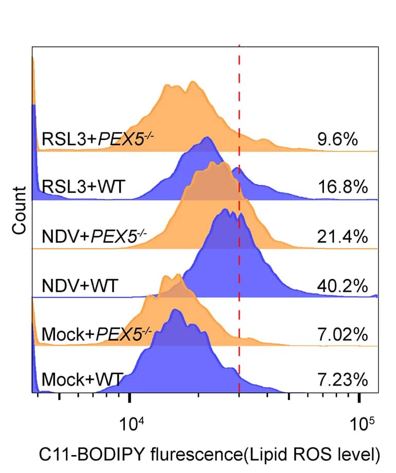 Open access visualization of Density Plot, Line Plot, A549 Cells, NDV, Lipid ROS