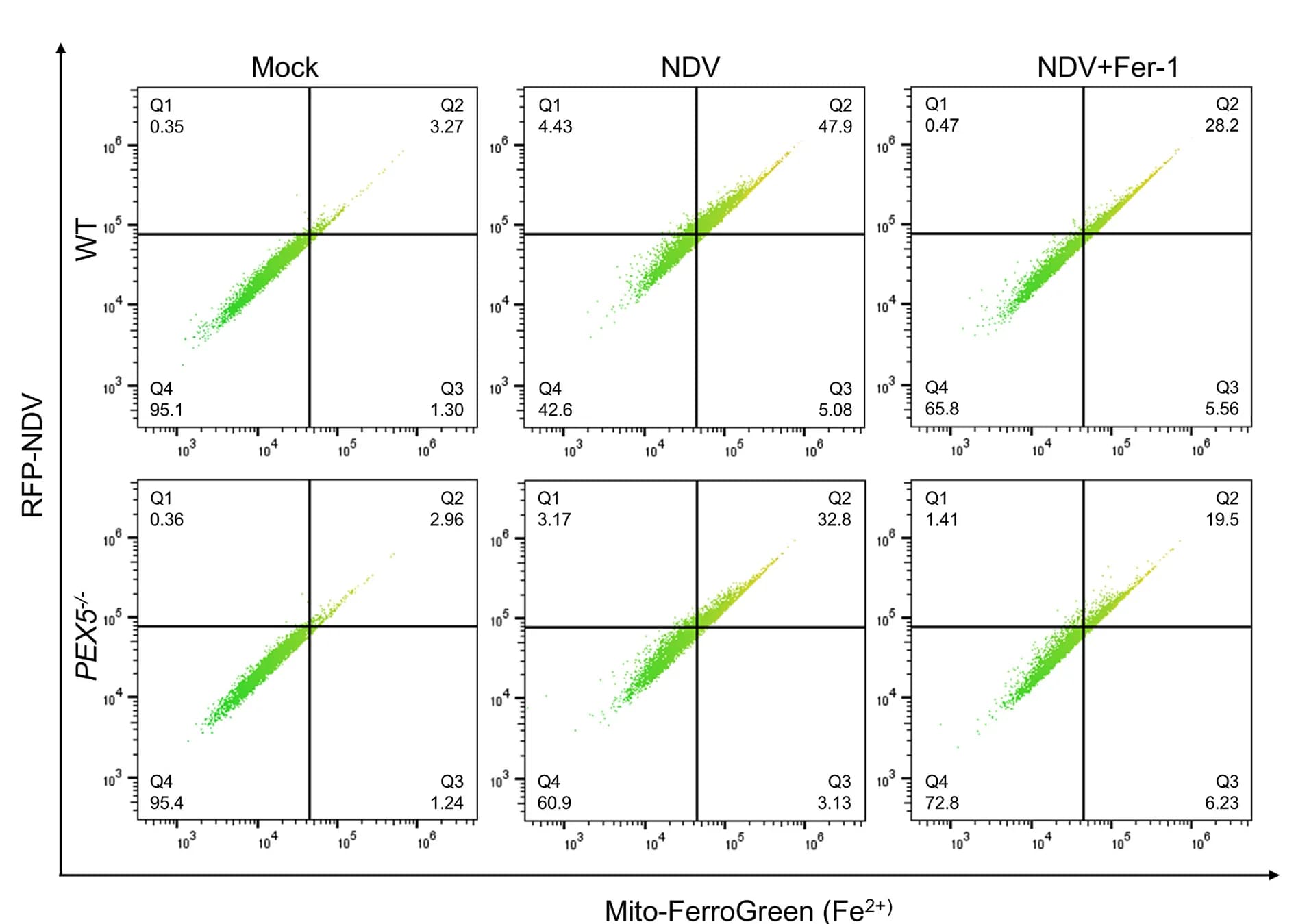 Open access visualization of Scatter Plot, A549 Cells, NDV, Fer-1, Mito-Ferrogreen