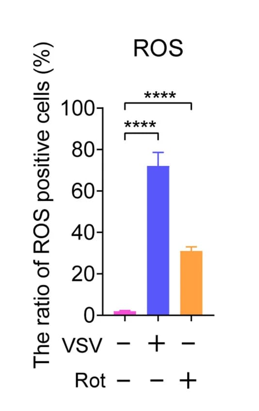 Open access visualization of Bar Plot, Error Bars, ROS Positive Cells, Quantification, Fluorescent Cells