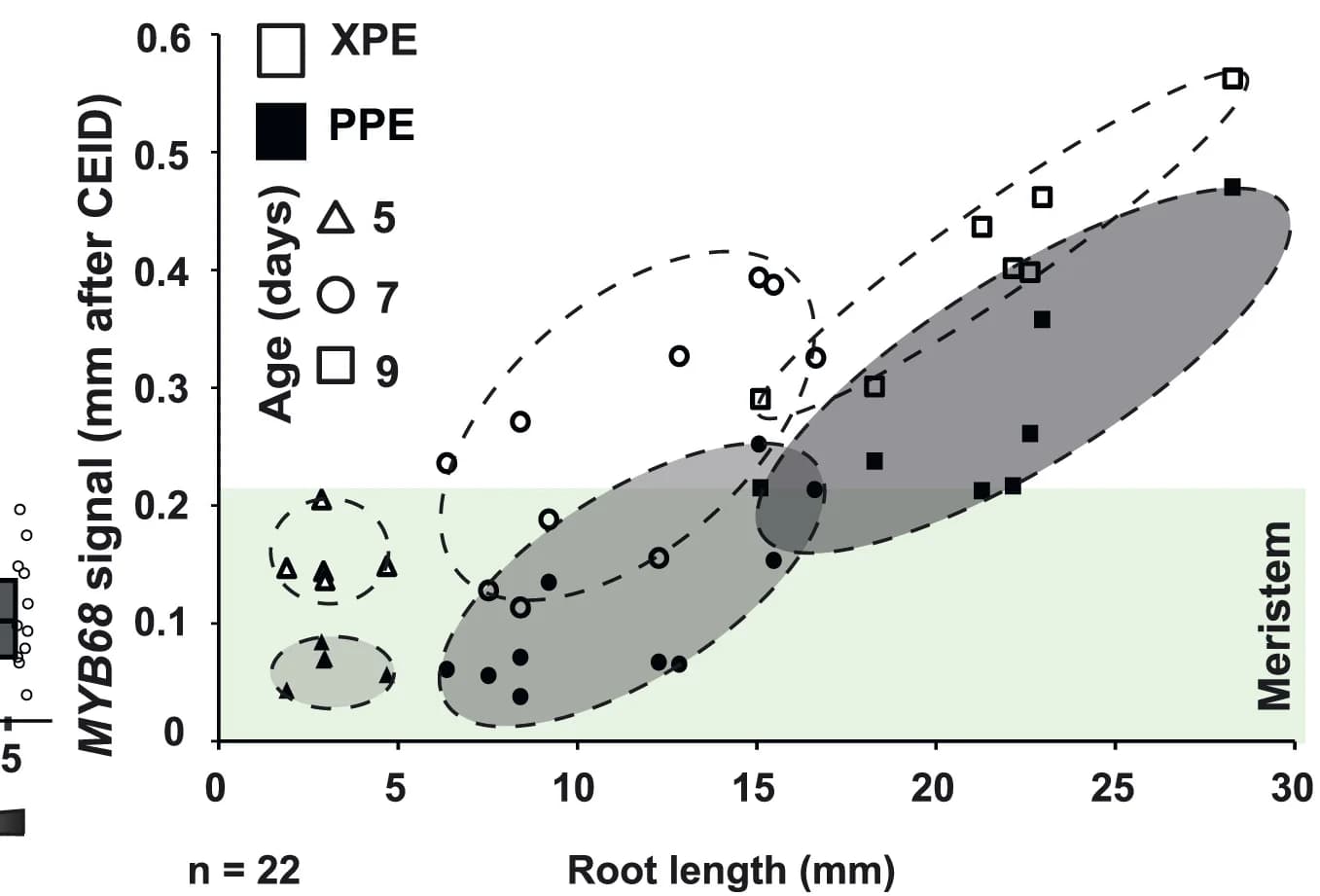 Open access visualization of Scatter Plot, MYB68, Expression, Endodermis