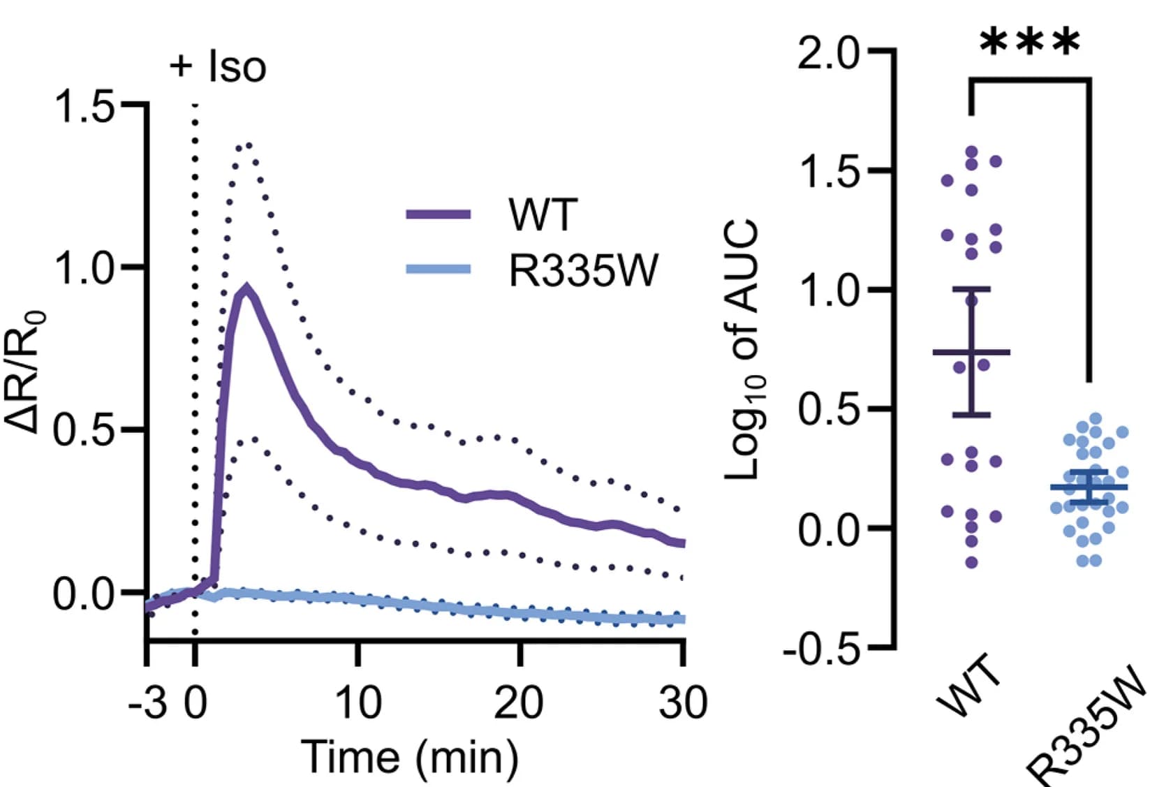 Open access visualization of Line Plot, Error Bars, Scatter Plot, PKA Activity, Iso
