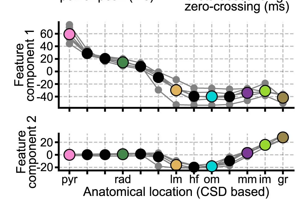 Open access visualization of Line Plot, Scatter Plot, Embedding Trajectory, Sharp-Wave, Theta Waveforms
