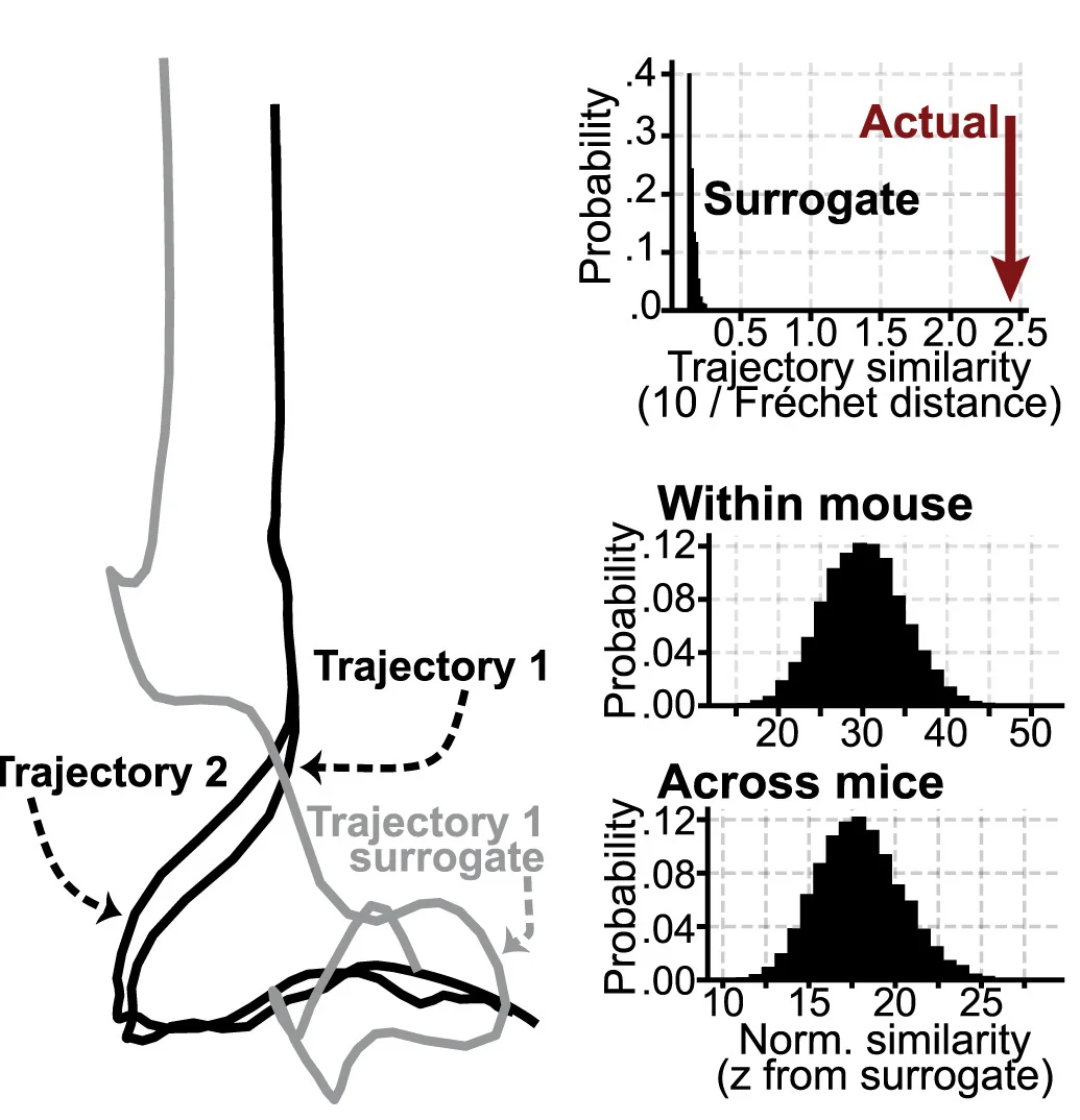 Open access visualization of Line Plot, Histogram, Trajectory Consistency, Fréchet Distances, Trajectory Similarity