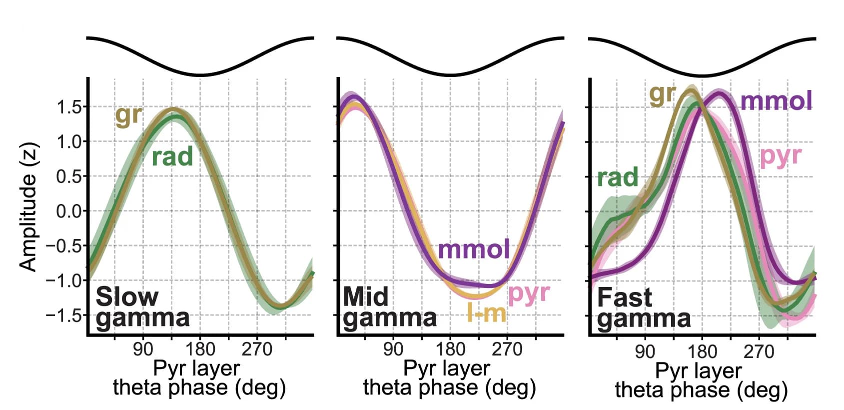 Open access visualization of Line Plot, Error Bars, Z-scored Amplitudes, Gamma Bands, Pyramidal Layer