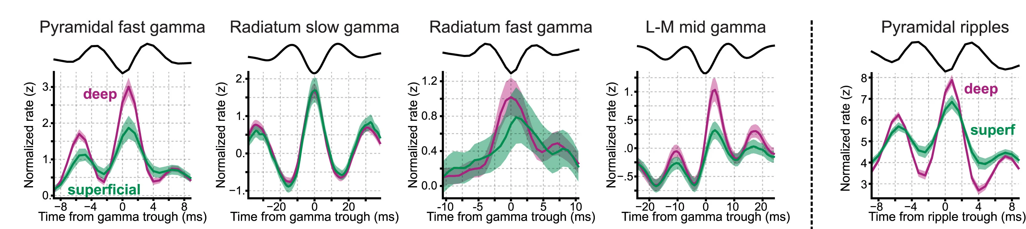 Open access visualization of Line Plot, Error Bars, Firing Rate, Deep Cells, Superficial Cells