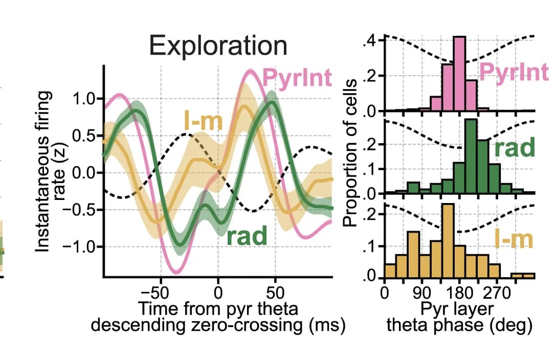Open access visualization of Line Plot, Error Bars, Histogram, Theta Modulation, Exploration