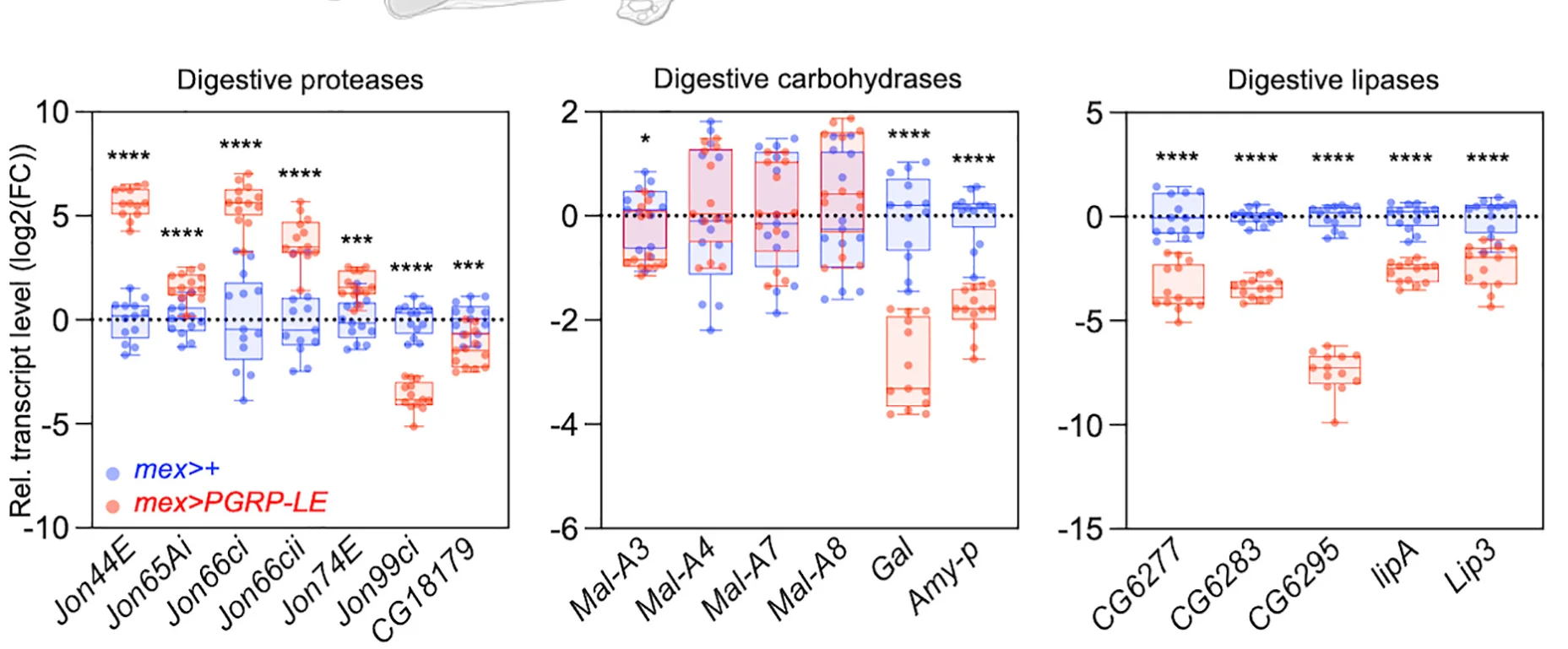 Open access visualization of Box Plot, Scatter Plot, Digestive Proteases, Carbohydrases, Lipases
