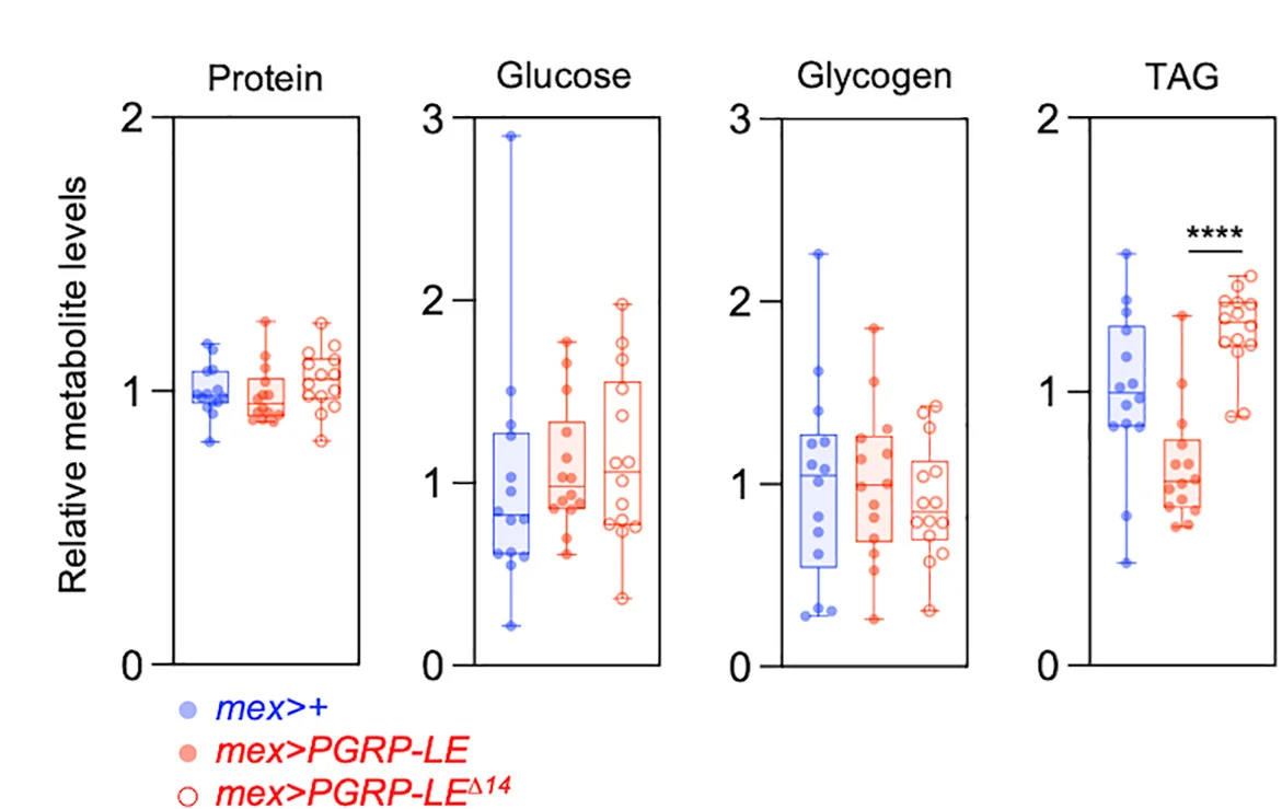 Open access visualization of Box Plot, Scatter Plot, Protein, Glucose, Glycogen
