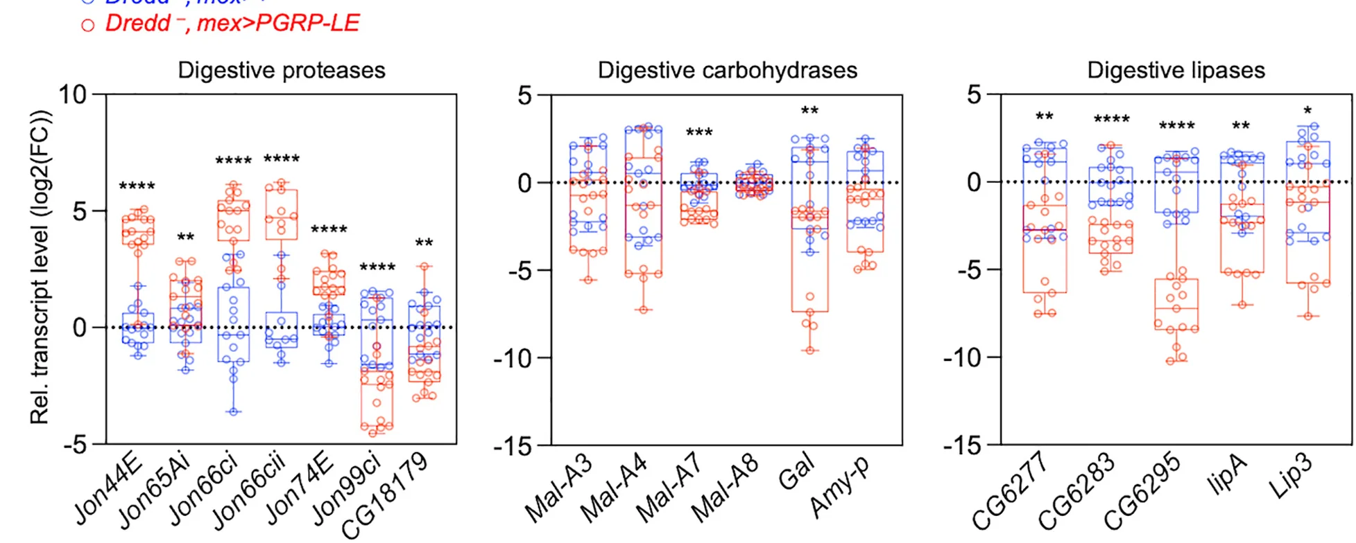 Open access visualization of Box Plot, Scatter Plot, RT-qPCR, Digestive Enzymes, Intestine