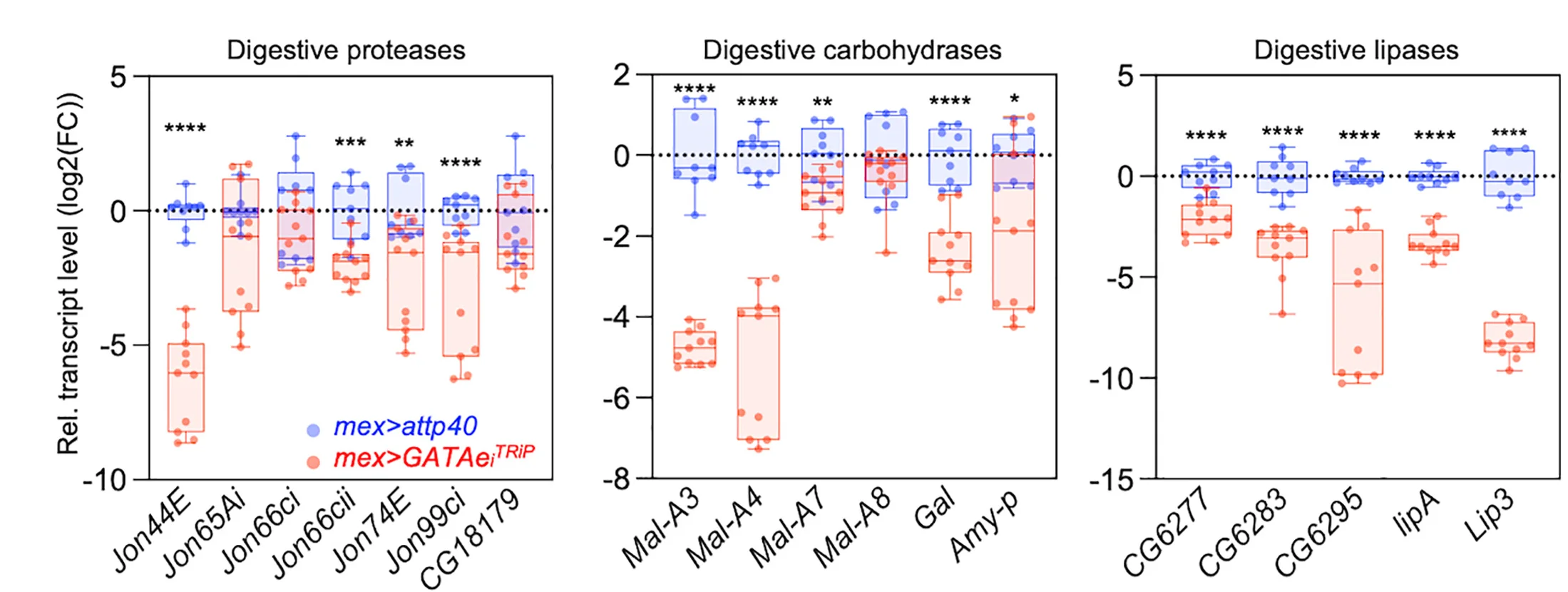 Open access visualization of Box Plot, Scatter Plot, Digestive Proteases, Carbohydrases, Lipases