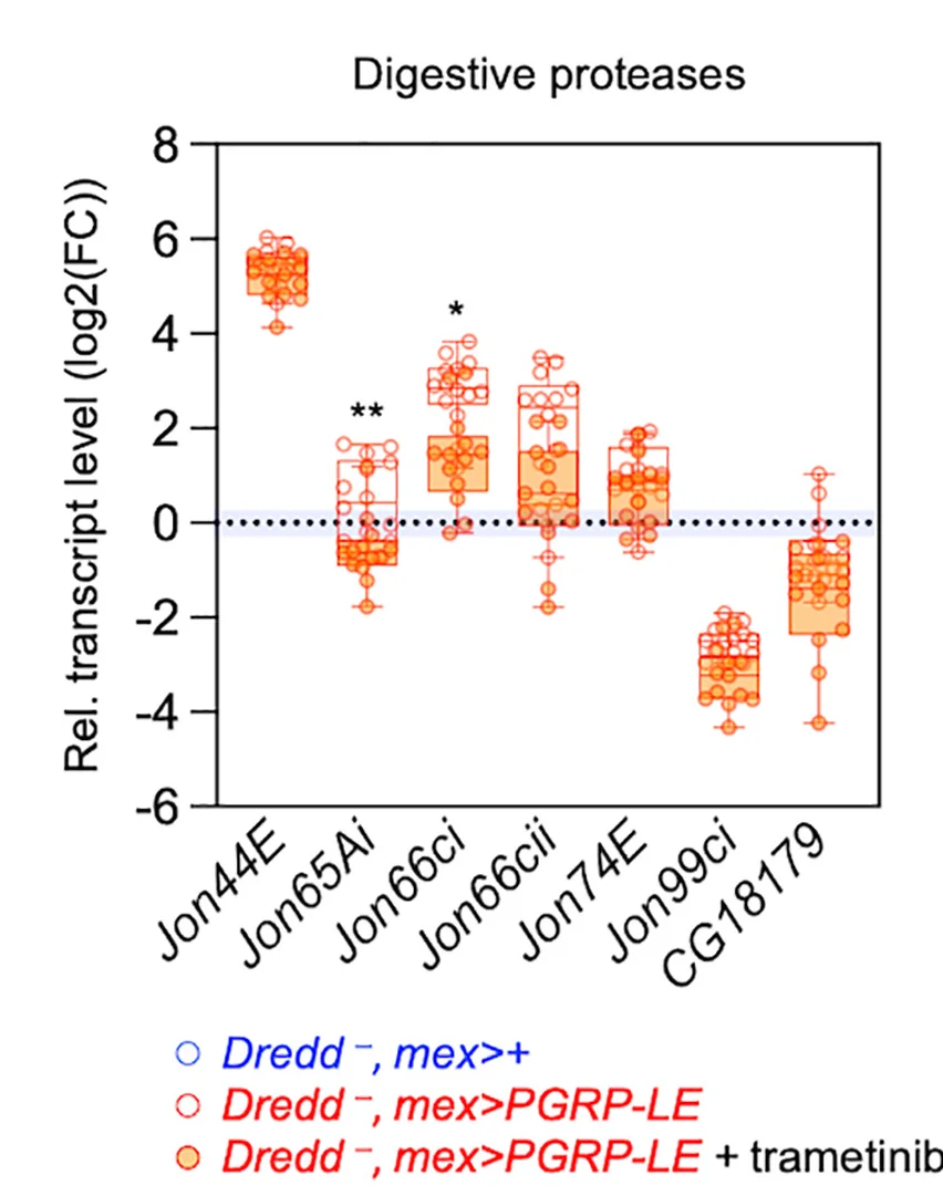 Open access visualization of Scatter Plot, Box Plot, Transcript Levels, Digestive Proteases, RT-qPCR