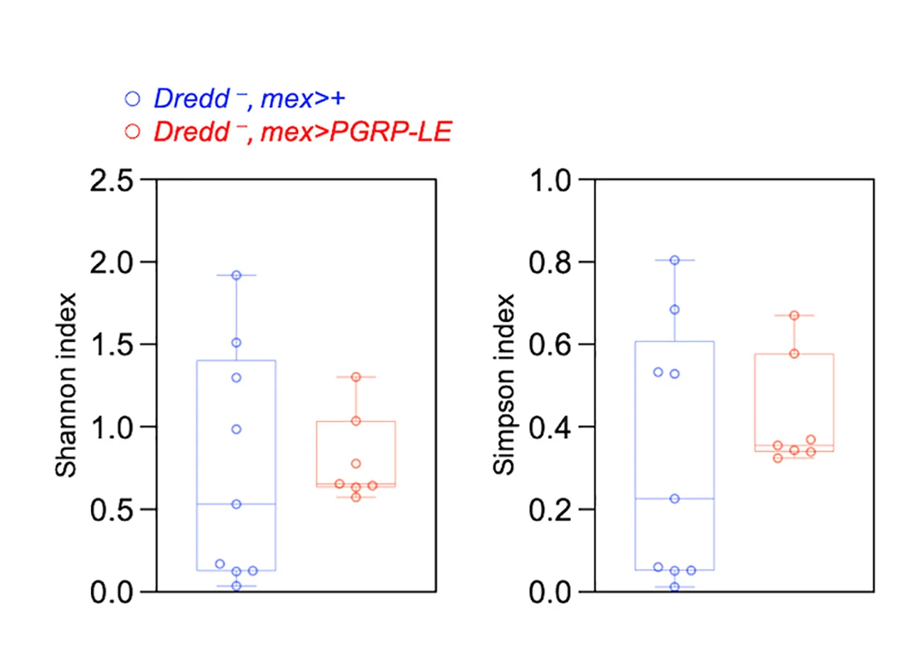 Open access visualization of Box Plot, Scatter Plot, Microbiome Alpha Diversity, Genotypes, Shannon-Wiener Diversity Index