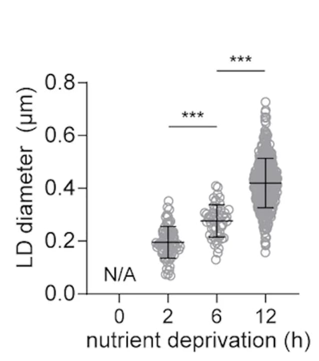 Open access visualization of Scatter Plot, Error Bars, LD Diameters, TEM, Nutrient Deprivation