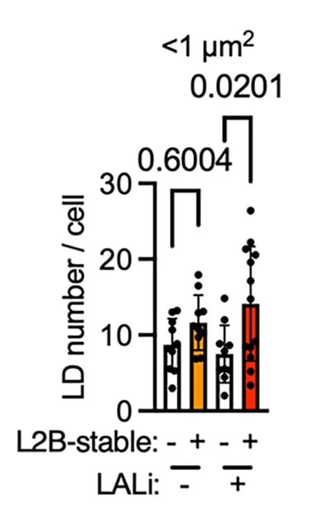 Open access visualization of Bar Plot, Error Bars, Scatter Plot, Quantification of LDs, LDs