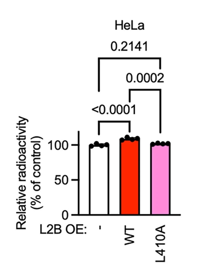Open access visualization of Bar Plot, Error Bars, Lipid Hydrolysis, HeLa Cells, Expression Vectors